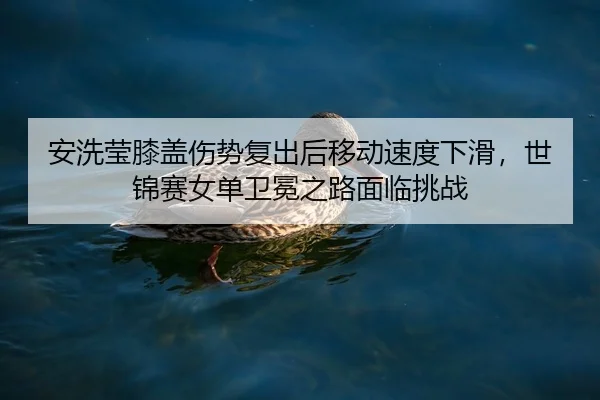 安洗莹膝盖伤势复出后移动速度下滑，世锦赛女单卫冕之路面临挑战