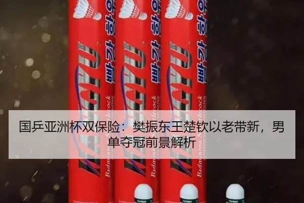 guo-ping-ya-zhou-bei-shuang-bao-xian-fan-zhen-dong-wang-chu-qin-yi-lao-dai-xin-nan-dan-duo-guan-qian-jing-jie-xi-2-837.jpg