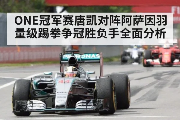 ONE冠军赛唐凯对阵阿萨因羽量级踢拳争冠胜负手全面分析